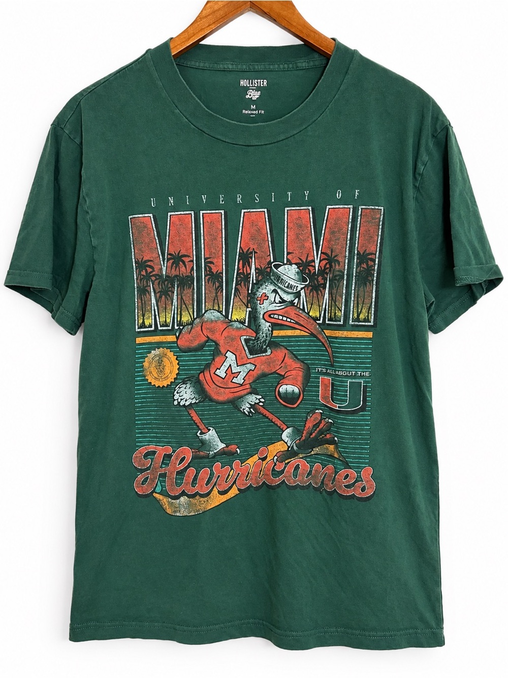 Hollister Blue 84 Miami Hurricanes Sebastian Ibis Graphic Tee M